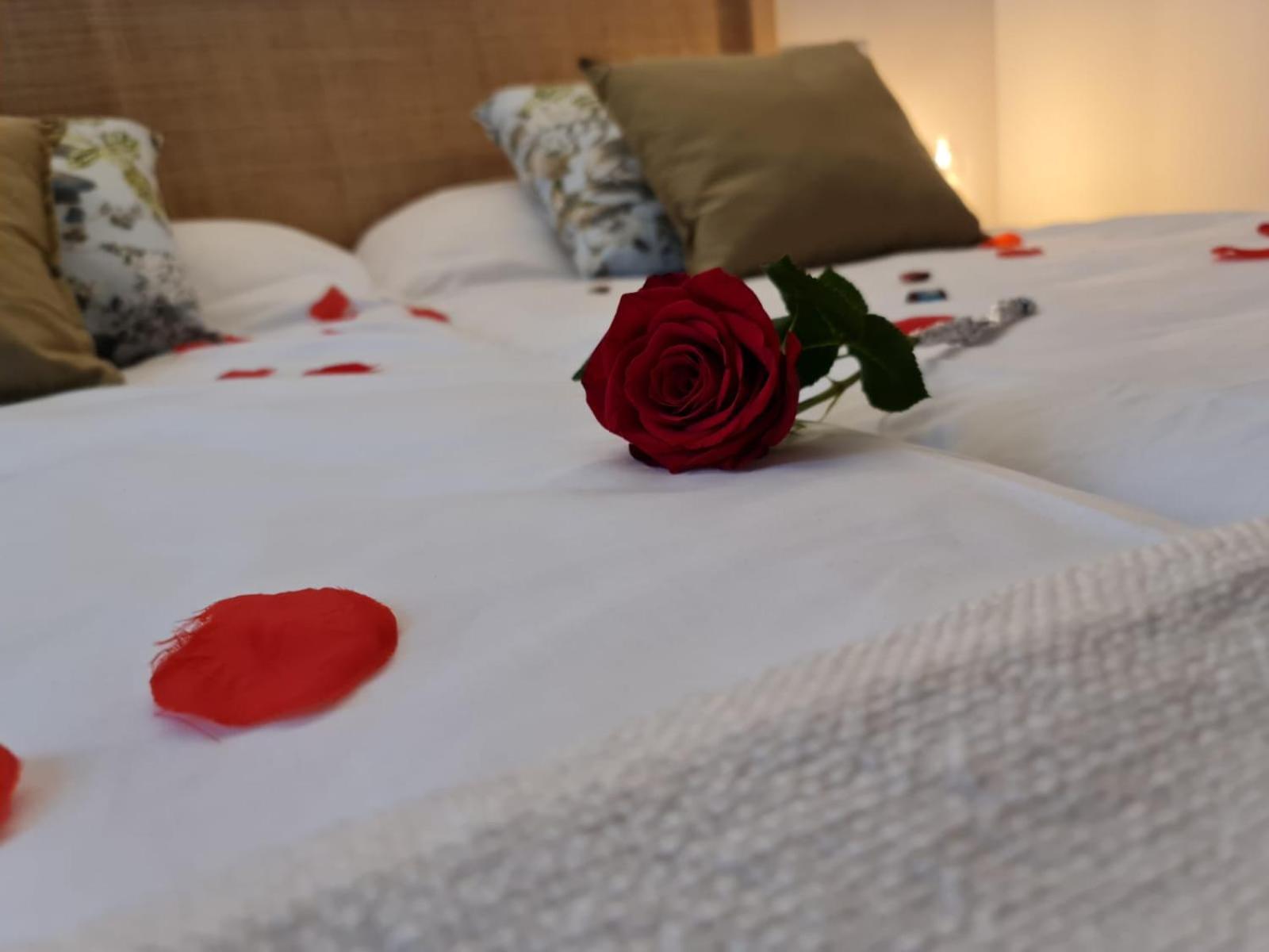 Hotel Camino De Las Estrellas Serranillos Kültér fotó